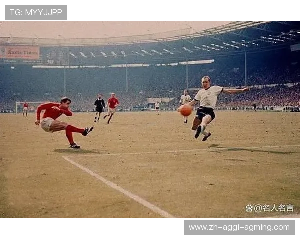 足球门线技术引入后是否有效减少比赛中的争议进球事件